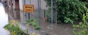 Kritieke overstromingen in het Demer- en Maas- en Dijlebekken
