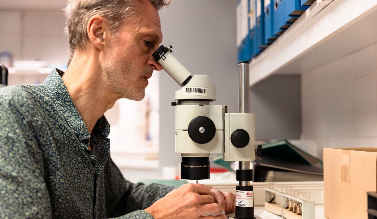 Christophe Maes - microscooponderzoek