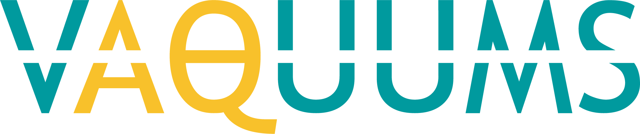 Vaquums logo
