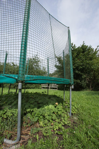 Grote trampoline met niet ingegraven poten met onder de trampoline schaduwminnende bodembedekkers