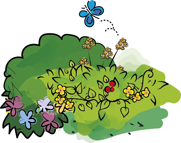Illustratie variatie bloemen en struiken rondom moestuin