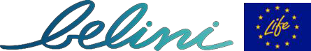 Belini - logo