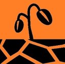droogte-icoon oranje