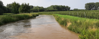 Kritieke overstromingen in het Demer-, Maas- en Dijlebekken