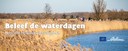 Vier Wereldwaterdag met de Vlaamse Waterdagen
