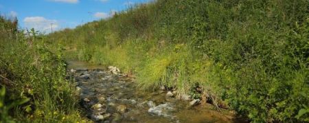 Gloednieuw park Woluwedal: van vergeten rivier naar klimaatrobuuste vallei