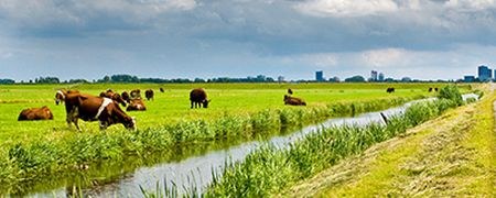Nitraat en fosfaat water blijft probleem landbouwgebied — Vlaamse Milieumaatschappij