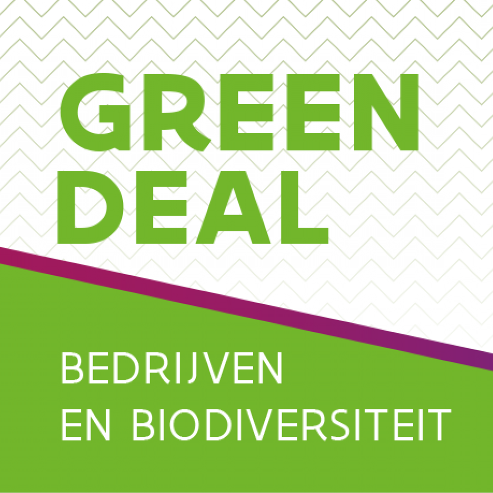 Green Deal Bedrijven en biodiversiteit
