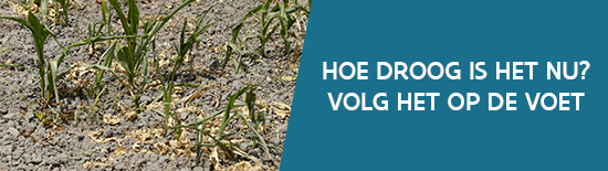 Banner droogte