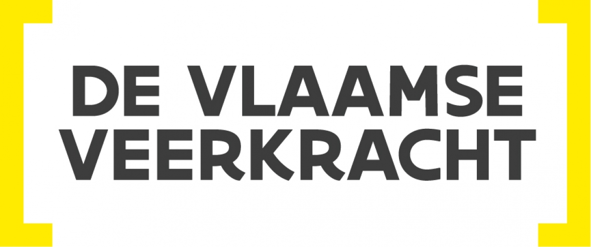 Logo Vlaamse Veerkracht