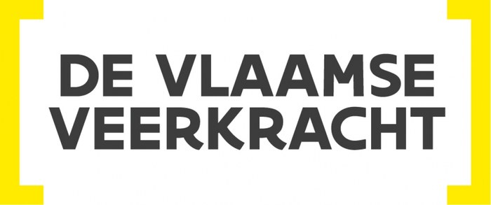 Vlaamse veerkracht - logo