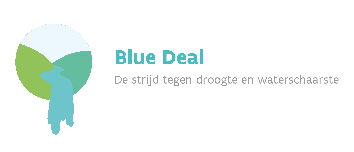 Blue Deal logo
